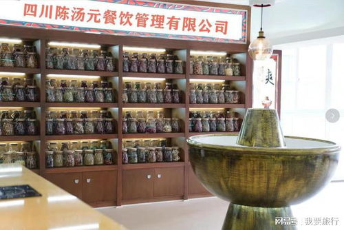 成都与重庆火锅底料加工厂及餐饮服务概况