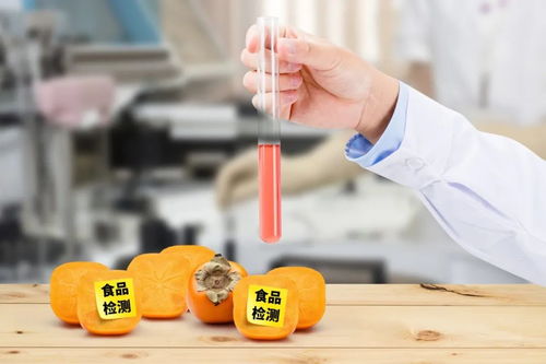 史上最严《四川省中小学校食品安全管理办法》正式实施，守护学生餐饮服务安全